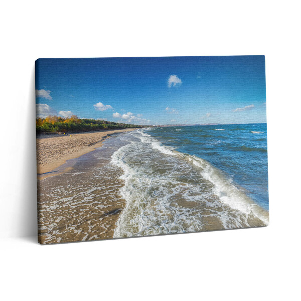 Vászonkép falra 80x60 Tengerpart és hullámok