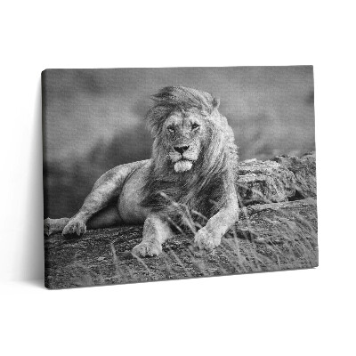 Vászonkép falra 80x60 Fenséges állat oroszlán