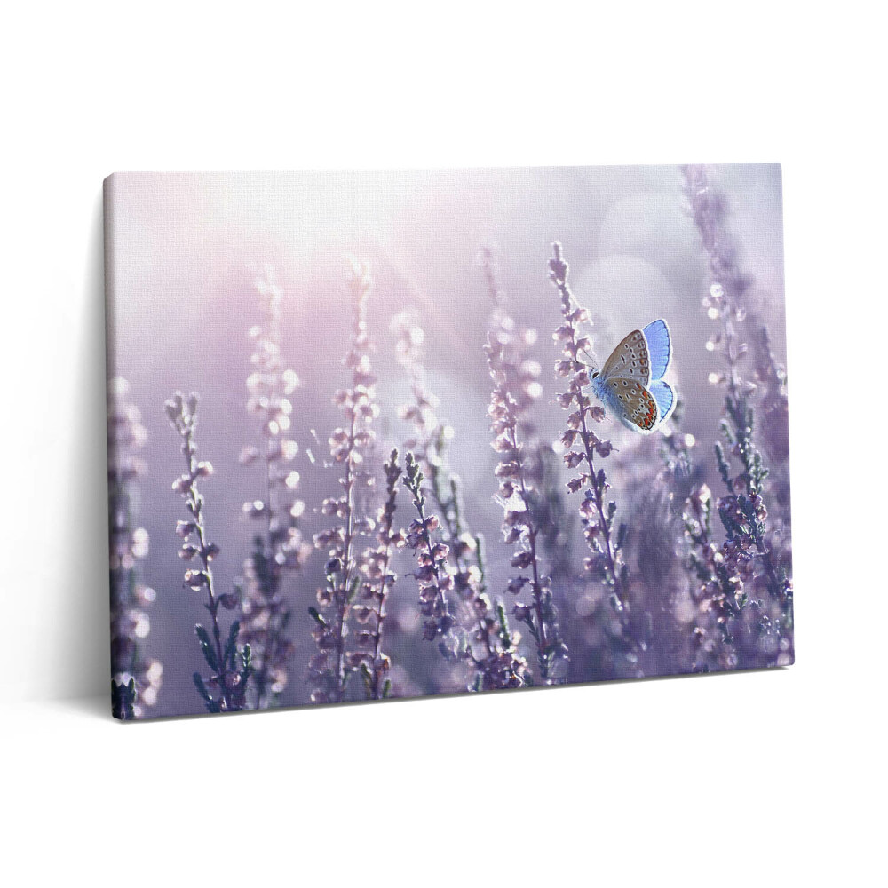 Vászonkép falra 80x60 Pillangó mezei virágokon