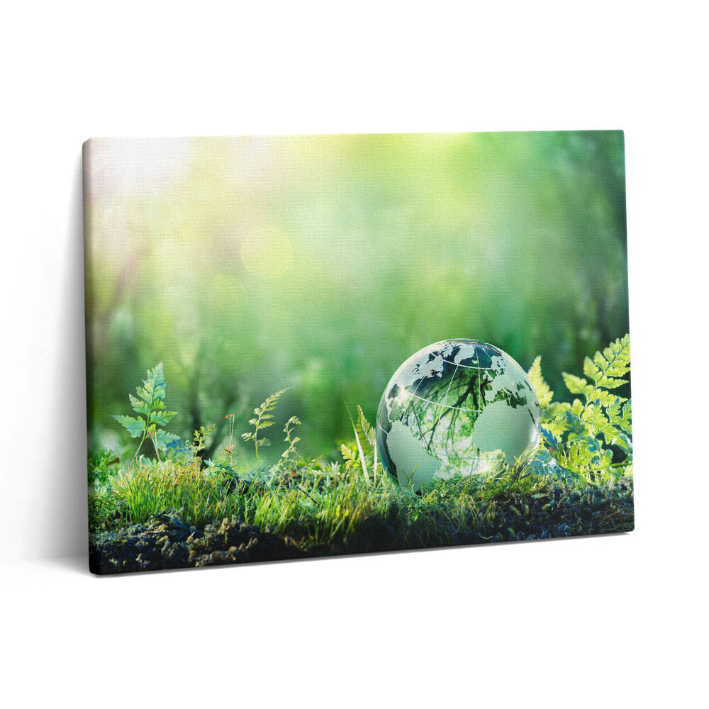 Vászonkép falra 80x60 Földgömb a fűben
