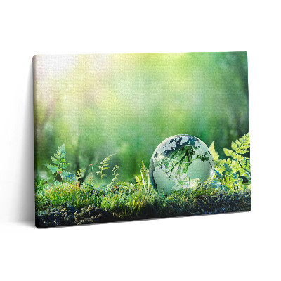 Vászonkép falra 80x60 Földgömb a fűben