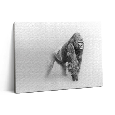 Vászonkép falra 80x60 Vadon élő állatok gyűjteménye