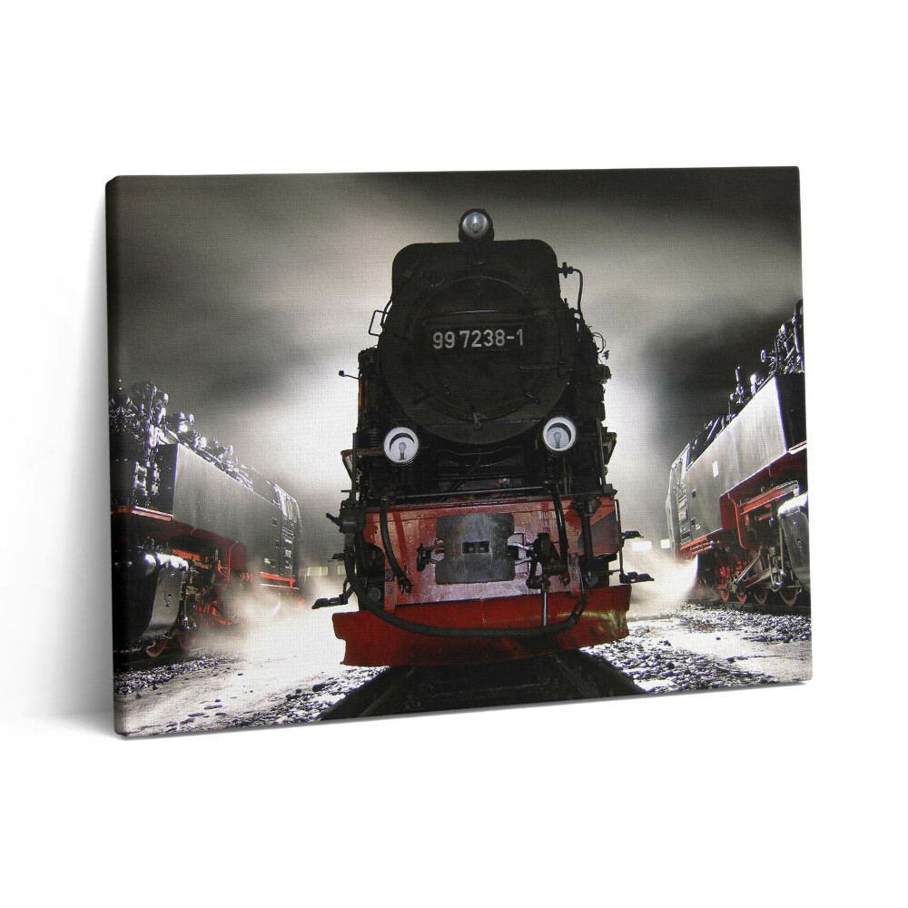 Vászonkép falra 80x60 Éjszakai mozdonyok