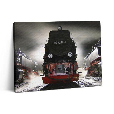 Vászonkép falra 80x60 Éjszakai mozdonyok