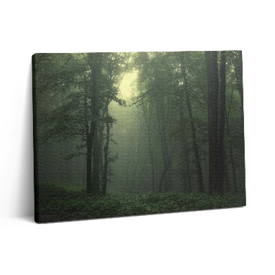 Vászonkép falra 80x60 Ködös erdő reggel