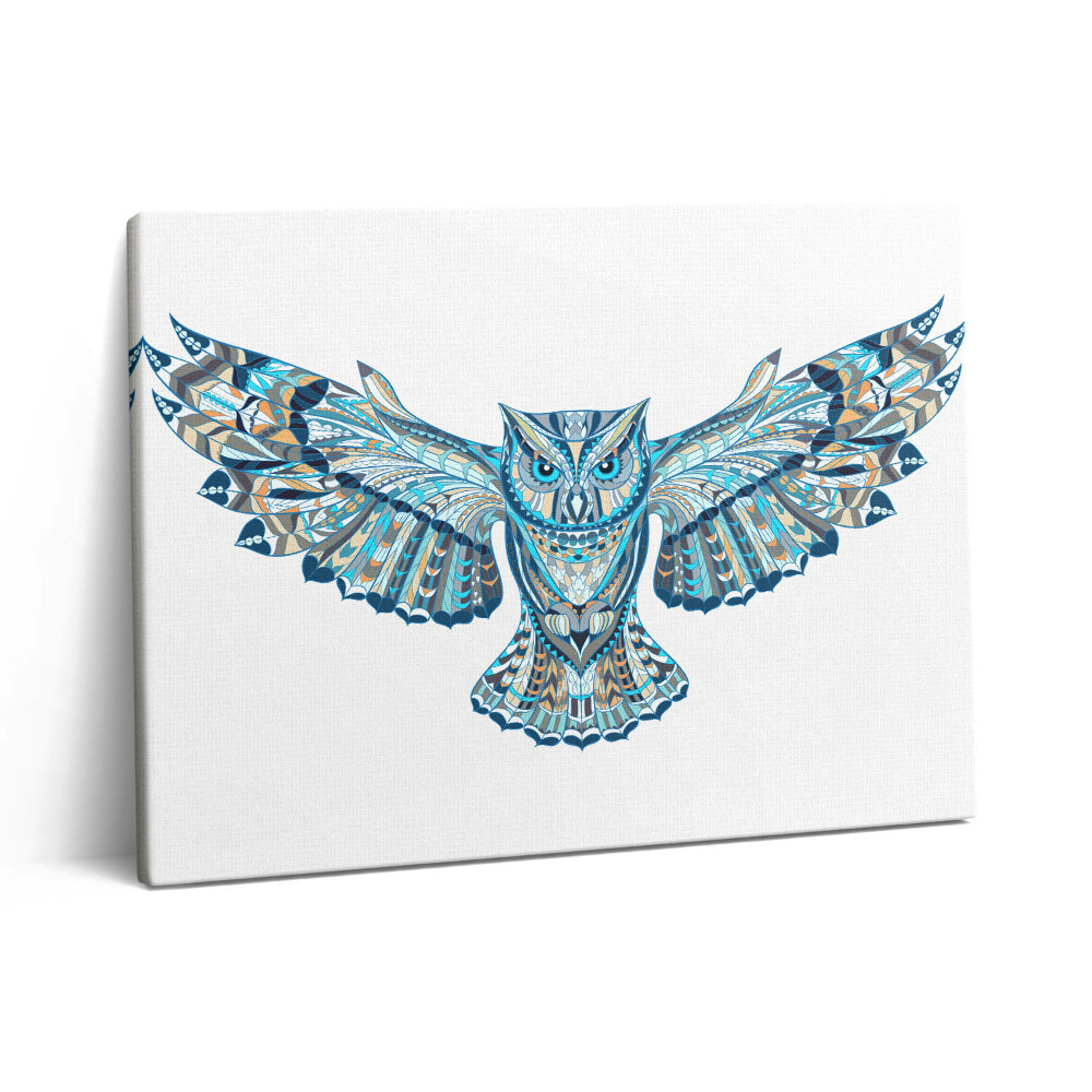 Vászonkép falra 80x60 Bagoly repülés közben