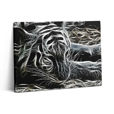 Vászonkép falra 80x60 Absztrakt tigris minta