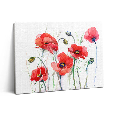Vászonkép falra 80x60 Festményművészet - vörös pipacsok