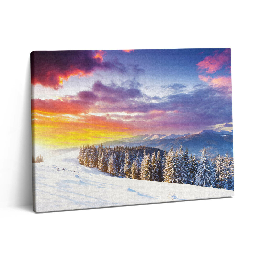 Vászonkép falra 80x60 Téli hegyi táj