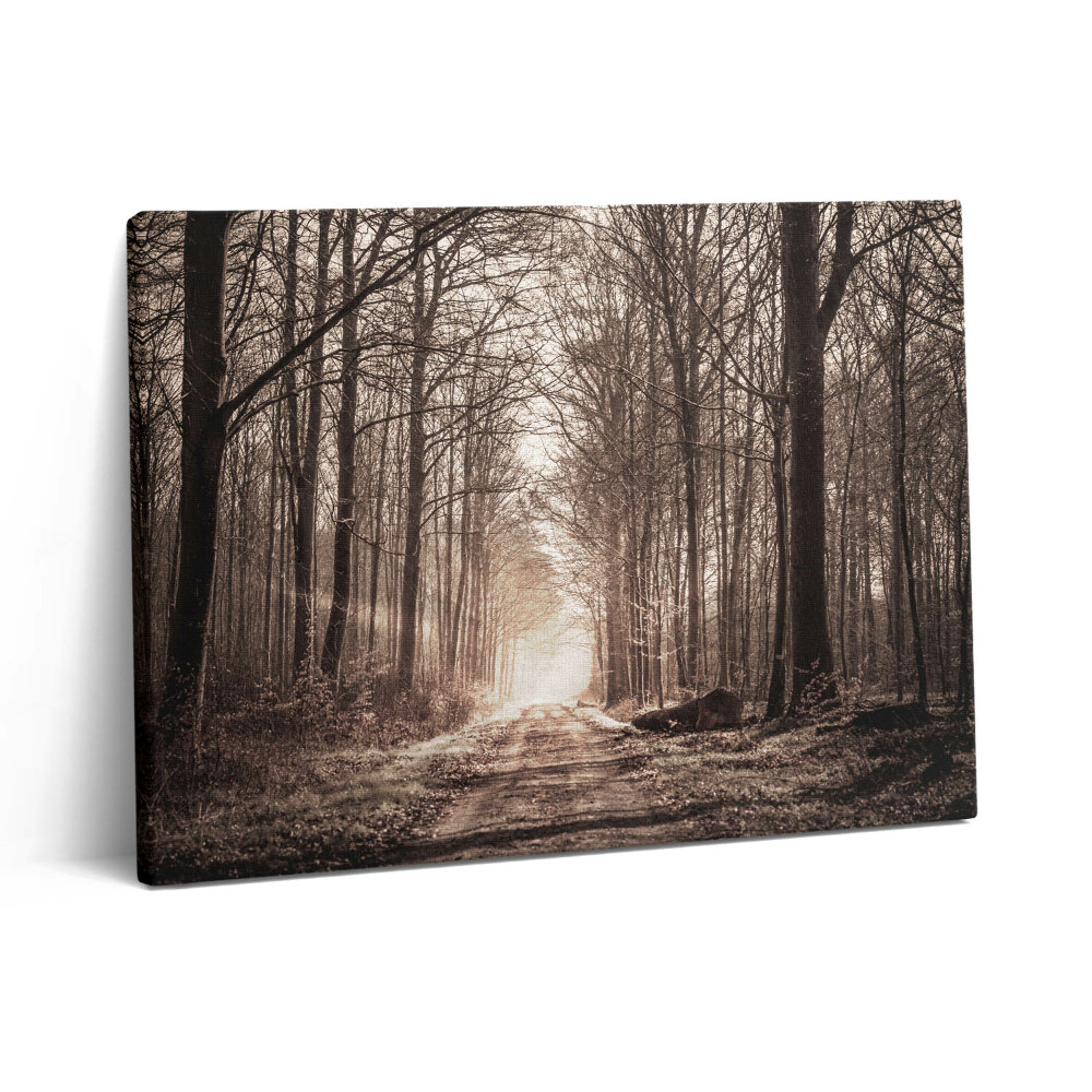 Vászonkép falra 80x60 Erdei ösvény szepia színekben