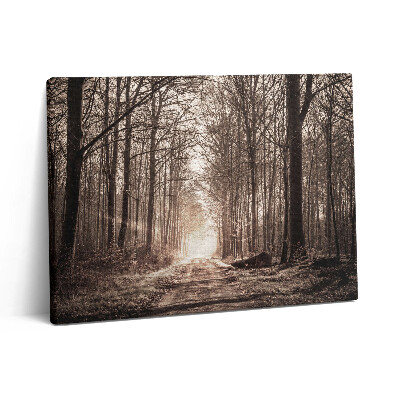 Vászonkép falra 80x60 Erdei ösvény szepia színekben
