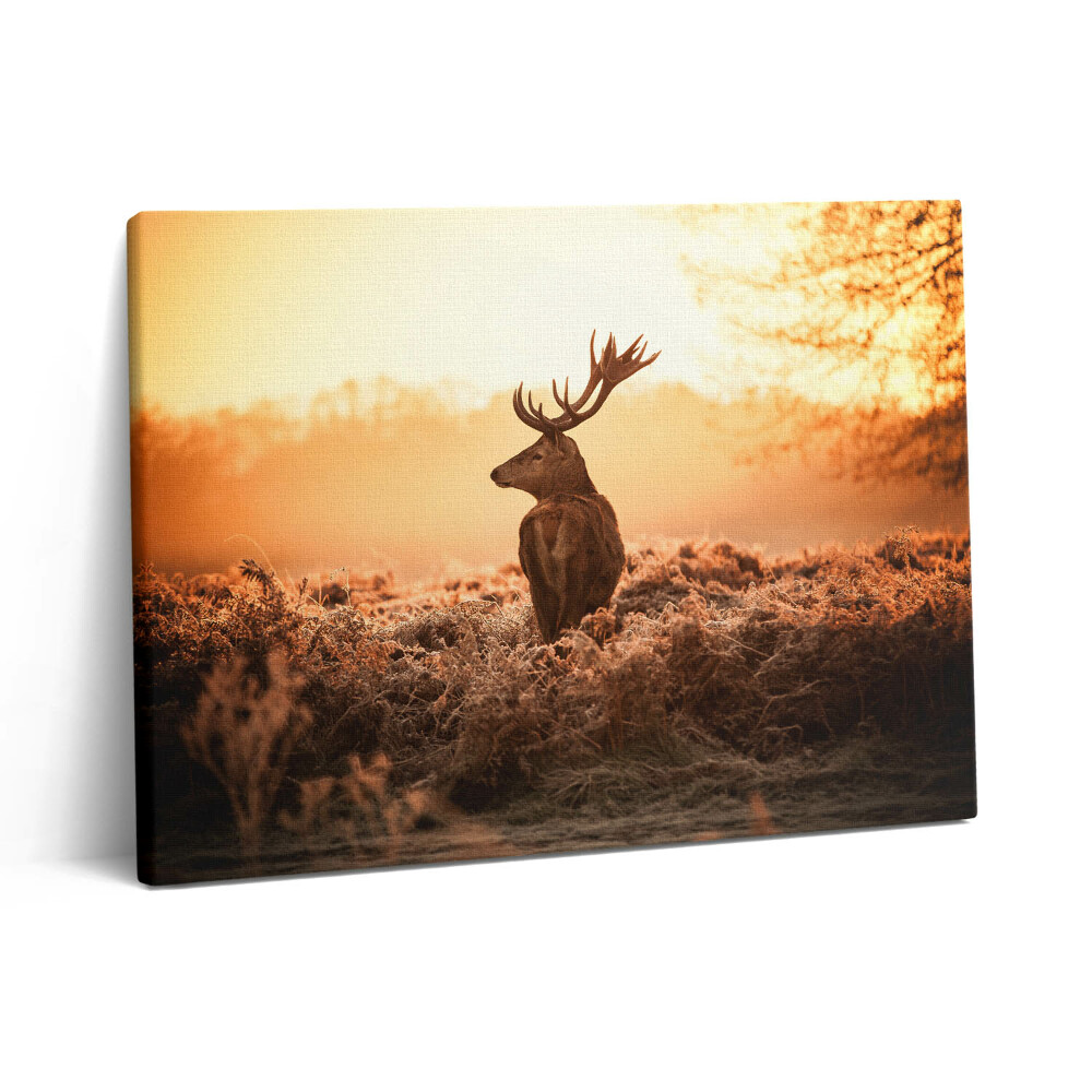 Vászonkép falra 80x60 Szarvasok napfelkeltekor