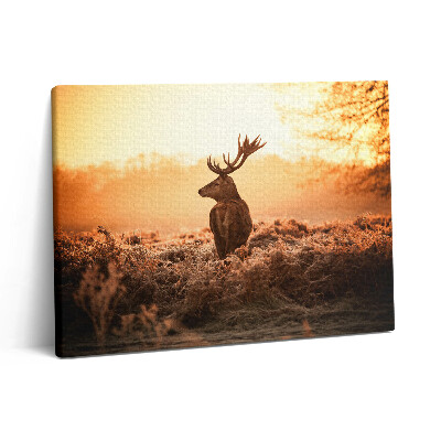 Vászonkép falra 80x60 Szarvasok napfelkeltekor