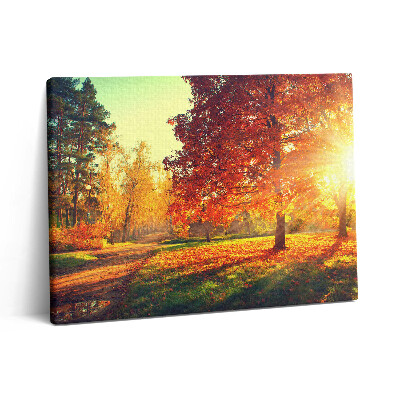 Vászonkép falra 80x60 Őszi park