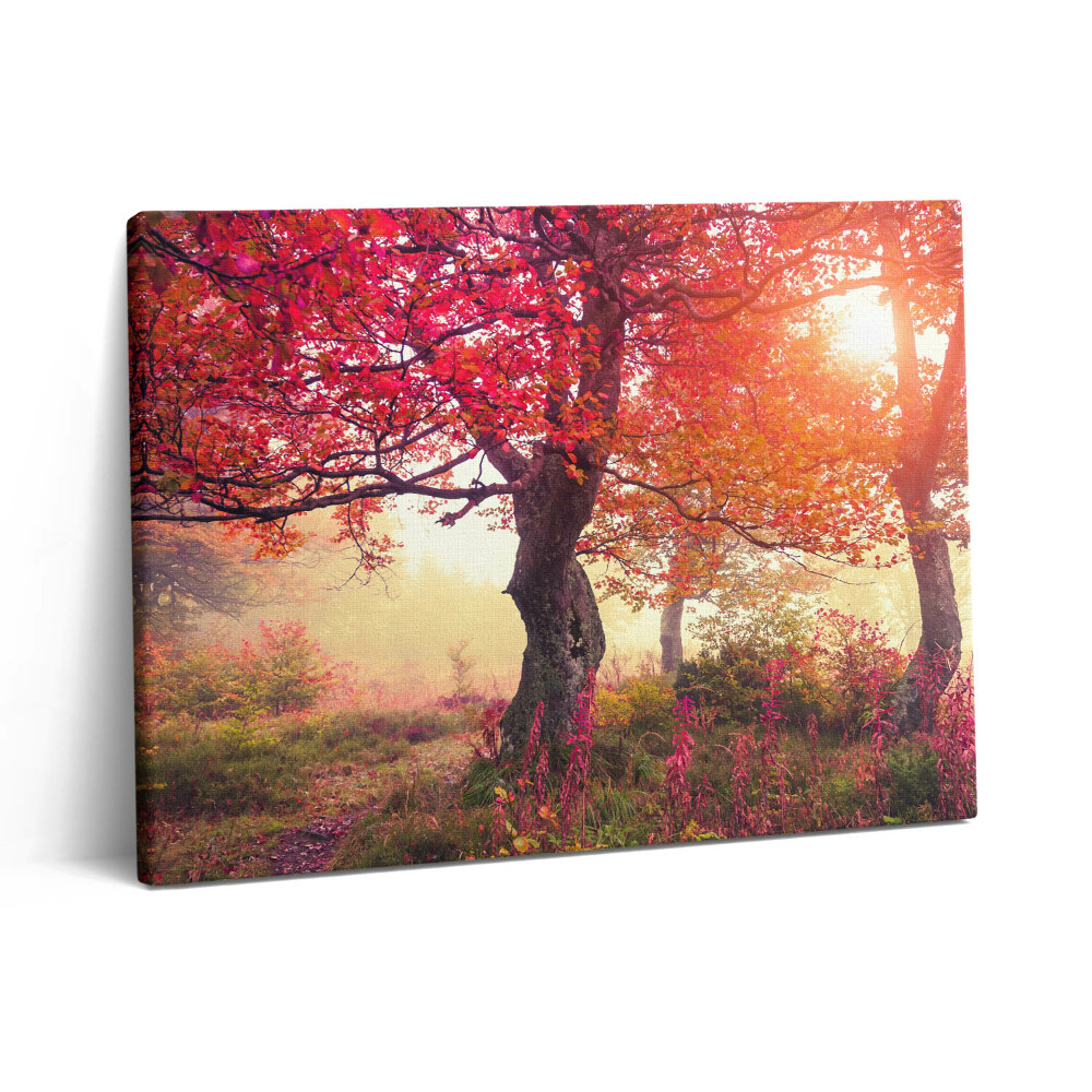 Vászonkép falra 80x60 Őszi fák