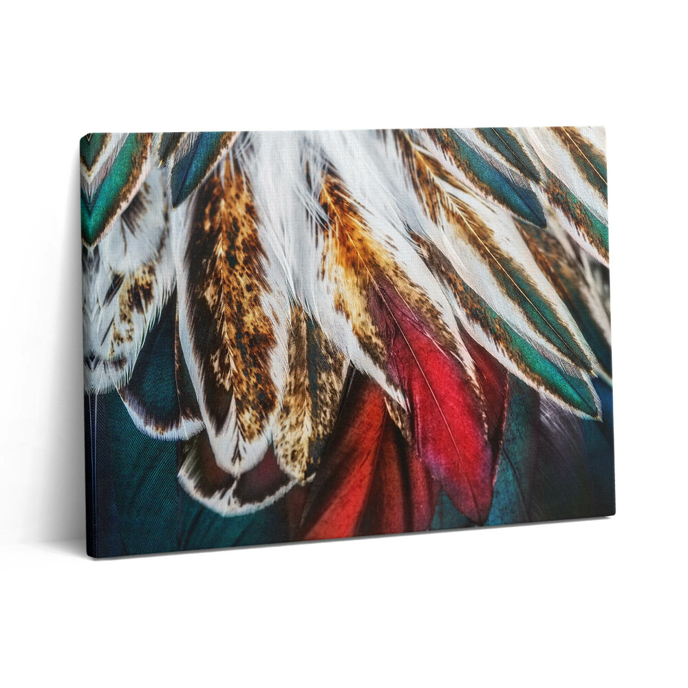 Vászonkép falra 80x60 Világosbarna madártollak