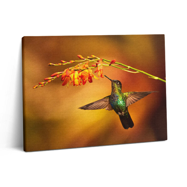 Vászonkép falra 80x60 Kolibri