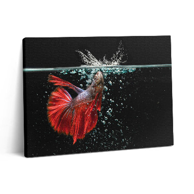 Vászonkép falra 80x60 Halak egy akváriumban