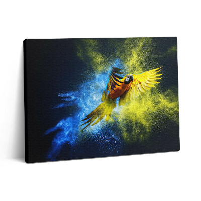 Vászonkép falra 80x60 Színes papagáj