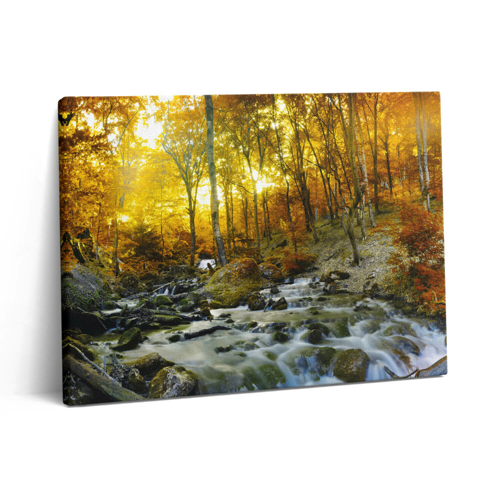 Vászonkép falra 80x60 őszi erdő