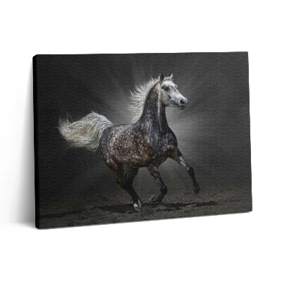 Vászonkép falra 80x60 Galoppáló ló