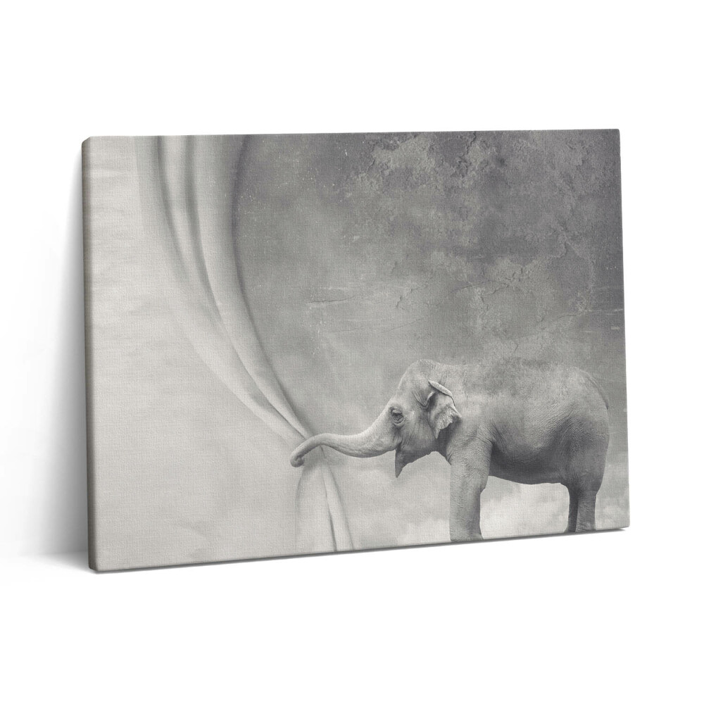 Vászonkép falra 80x60 Elefánt a függöny mögött