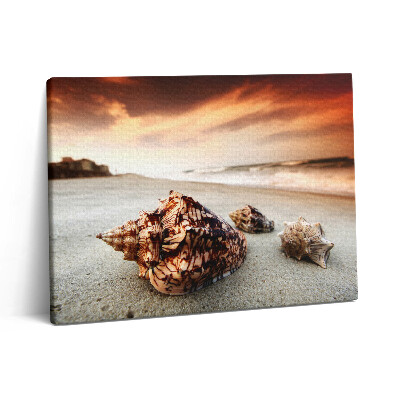 Vászonkép falra 80x60 Kagylók a tengerparton