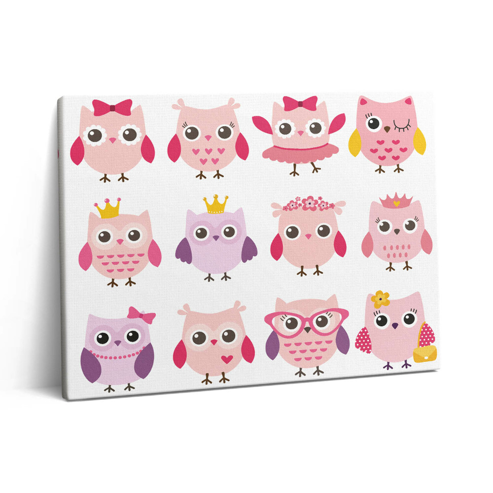 Vászonkép falra 80x60 Színes baglyok