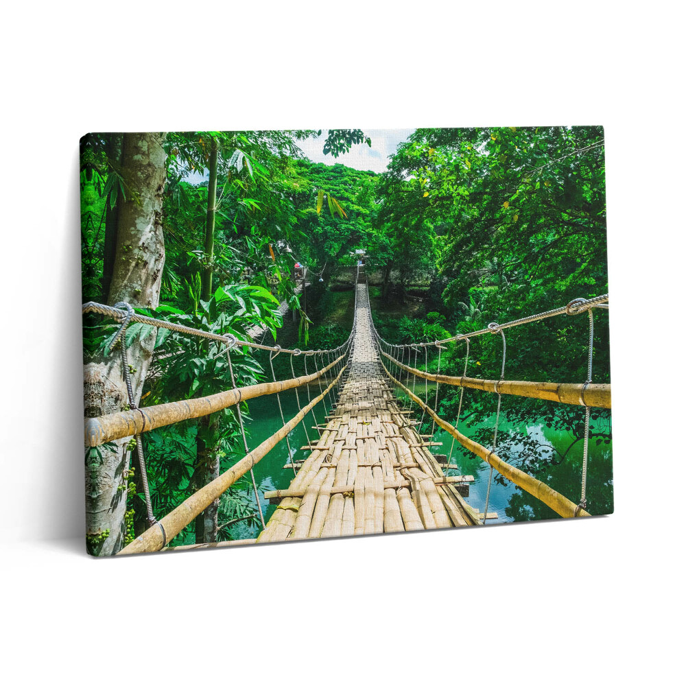 Vászonkép falra 80x60 Híd az erdőben a Fülöp-szigeteken