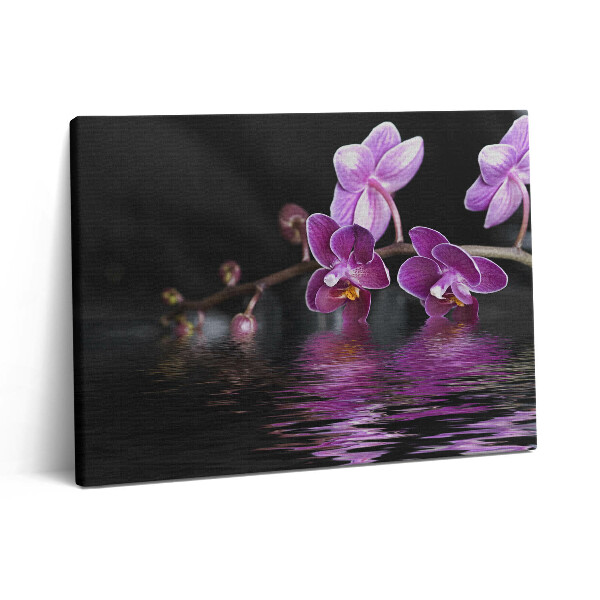 Vászonkép falra 80x60 Rózsaszín orchidea virág a vízen