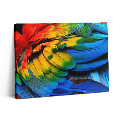 Vászonkép falra 80x60 Egy ara papagáj színes szárnyai
