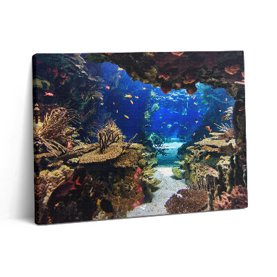 Vászonkép falra 80x60 Akvárium