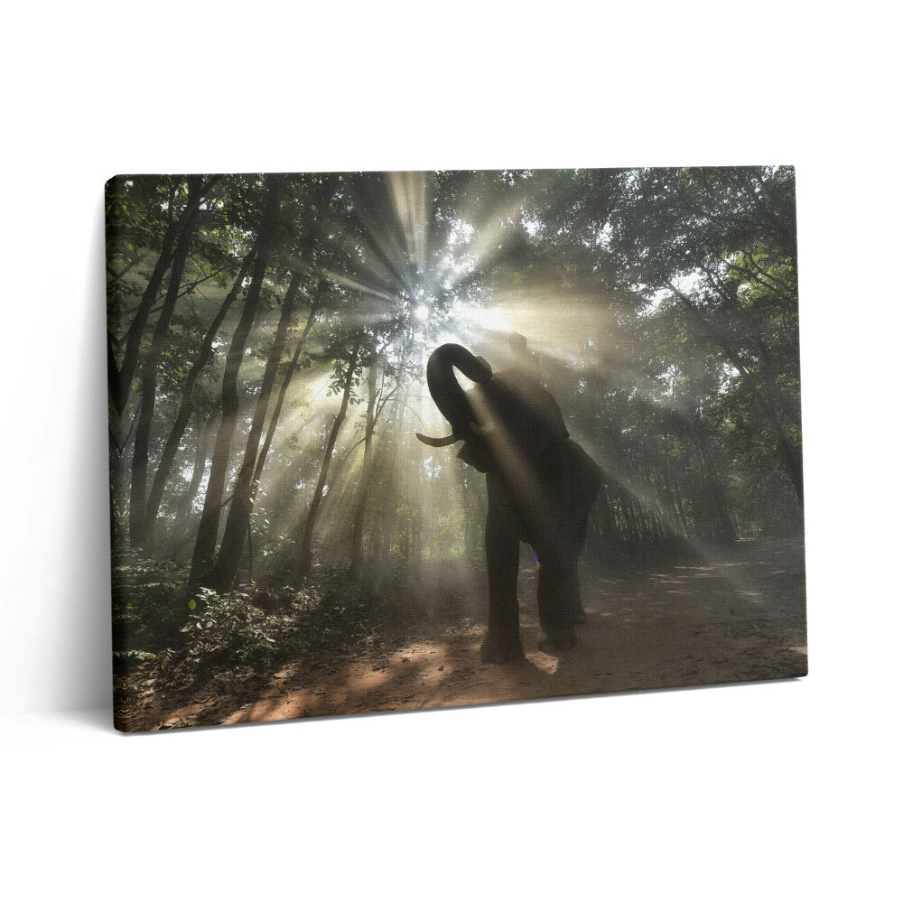 Vászonkép falra 80x60 Elefánt a dzsungelben