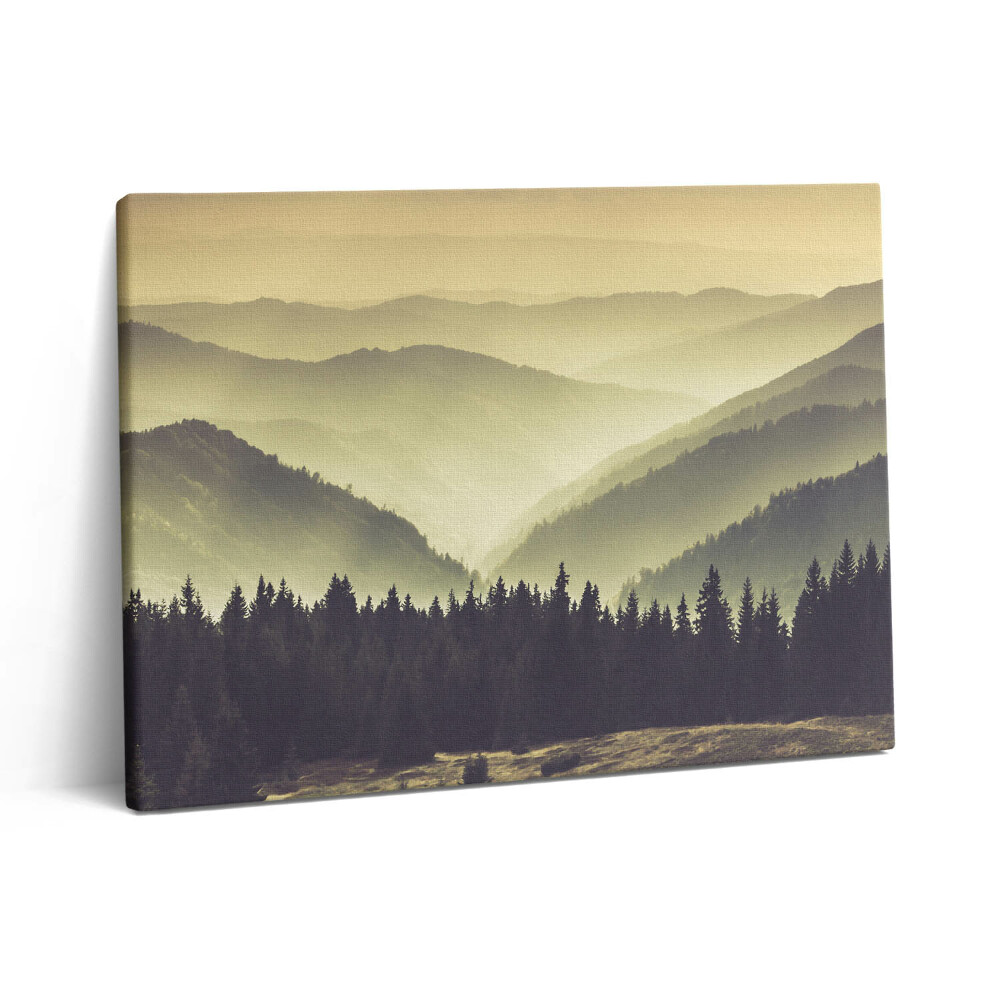 Vászonkép falra 80x60 Ködös hegyoldal