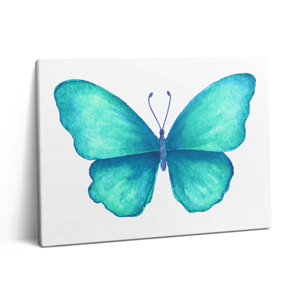 Vászonkép falra 80x60 Türkizkék nyári pillangó