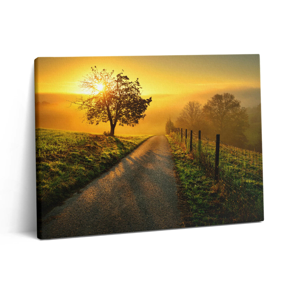 Vászonkép falra 80x60 Köd napfelkeltekor