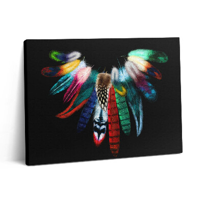 Vászonkép falra 80x60 Színes madártollak