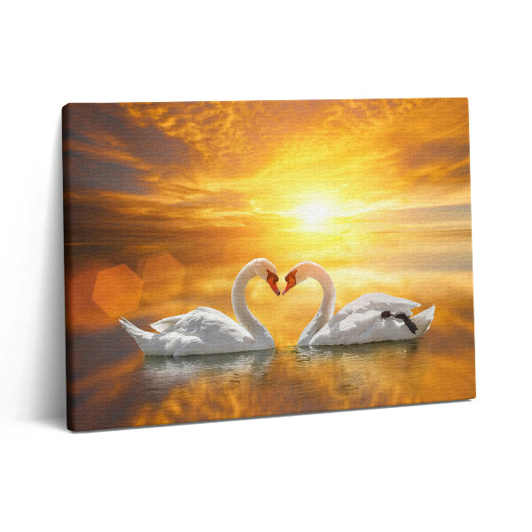 Vászonkép falra 80x60 Szerelmes hattyúk