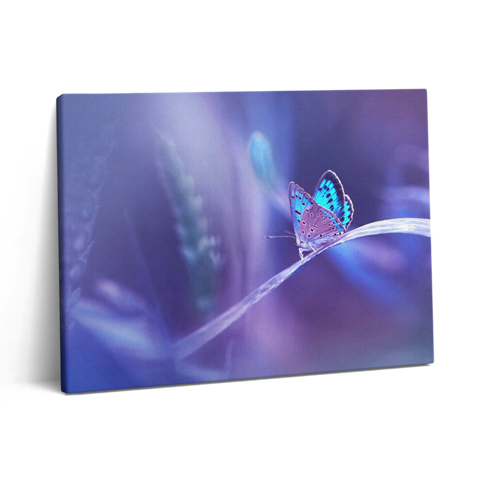 Vászonkép falra 80x60 Pillangó a fűben