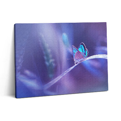 Vászonkép falra 80x60 Pillangó a fűben