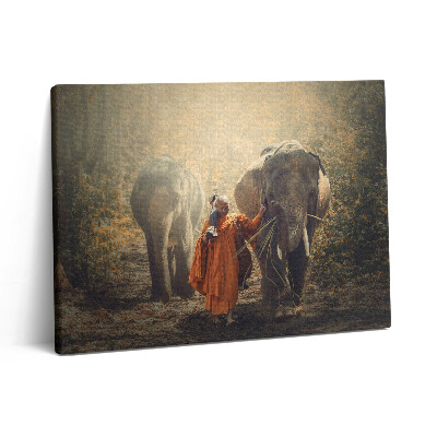 Vászonkép falra 80x60 Szerzetes és elefántok
