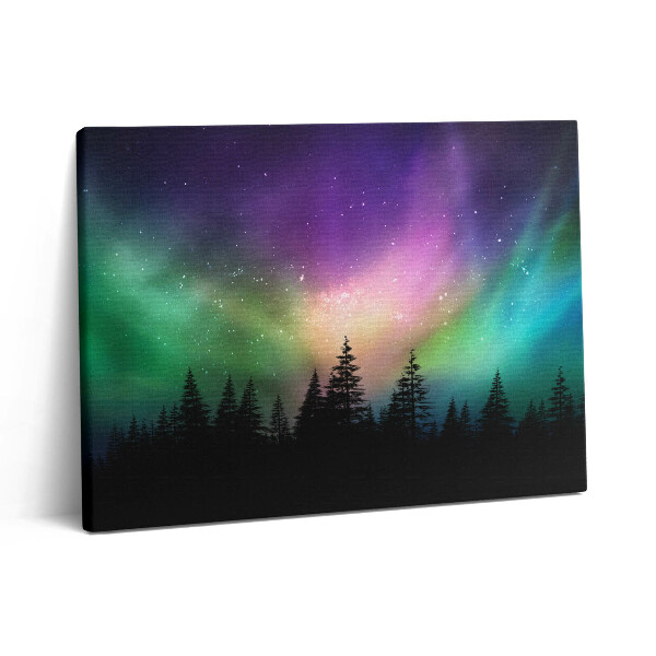 Vászonkép falra 80x60 Sarki fény