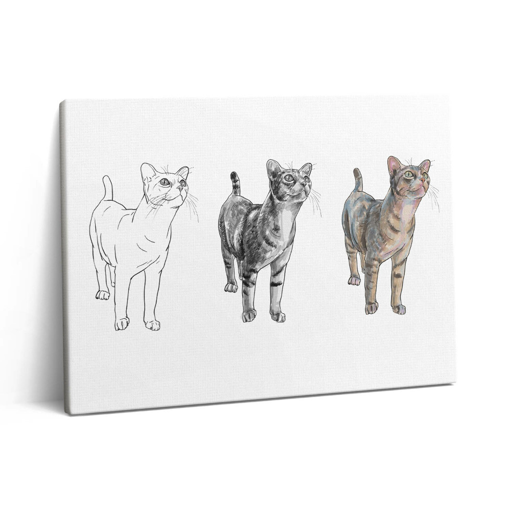 Vászonkép falra 80x60 Illusztráció egy aranyos kíváncsi macskáról