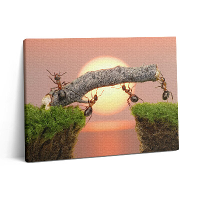 Vászonkép falra 80x60 Hangyák egy fatörzsön