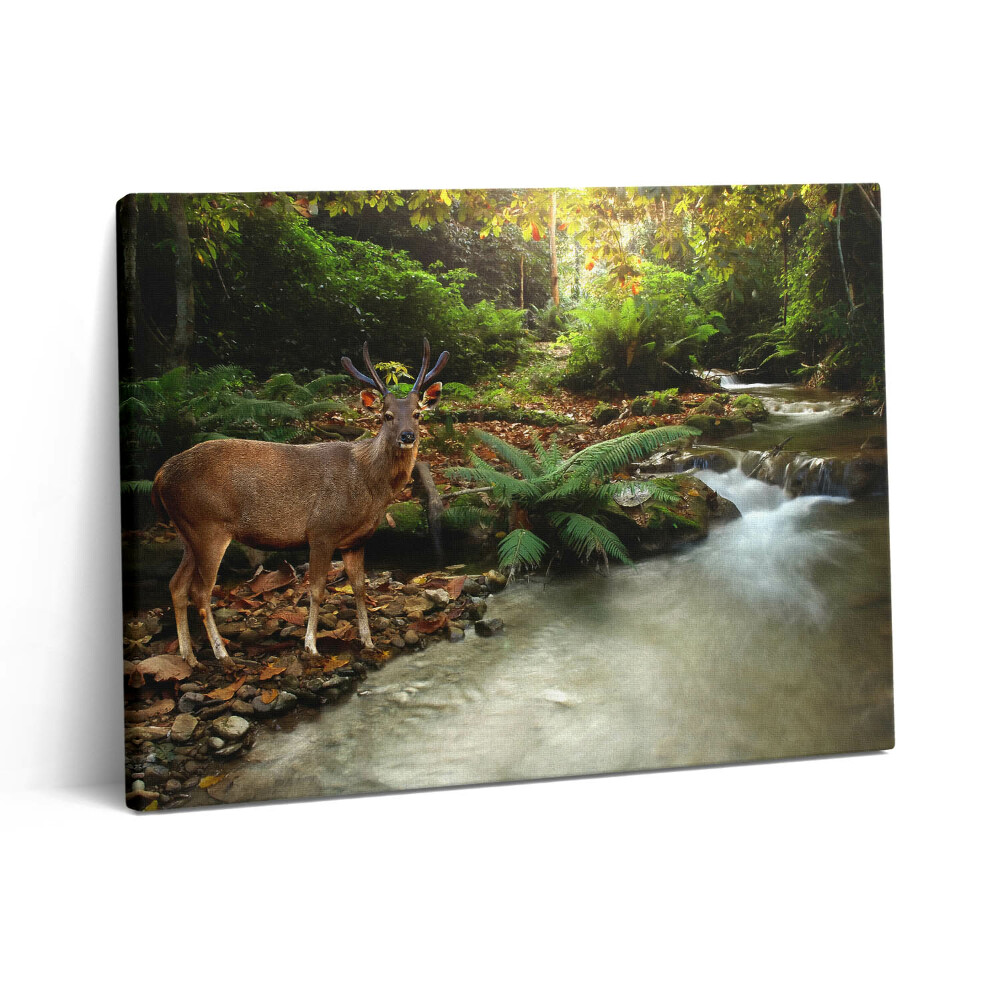 Vászonkép falra 80x60 Trópusi patak és szarvasok