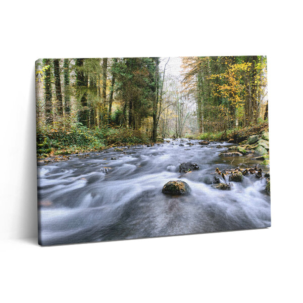 Vászonkép falra 80x60 Hegyi patak