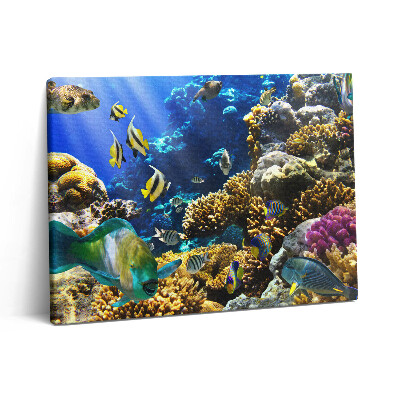 Vászonkép falra 80x60 Halak képe egy korallzátonyon