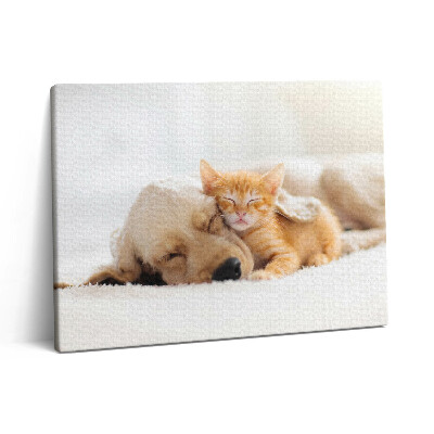 Vászonkép falra 80x60 Alvó állatok macska és kutya