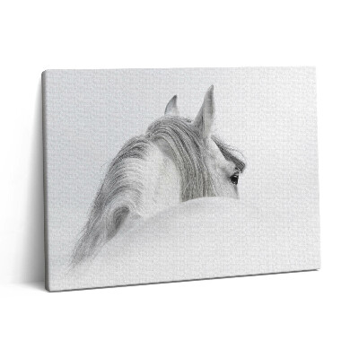 Vászonkép falra 80x60 Andalúziai ló a ködben