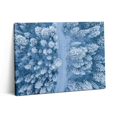 Vászonkép falra 80x60 Az erdő madártávlatból. Drónok